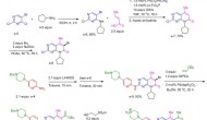 輝瑞CDK抑制劑palbociclib獲得美國FDA“突破性療法”稱號