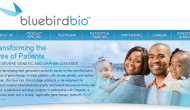 值得關注的兩個臨床結果:Bluebird Bio的LentiGlobin BB305基因療法和Agios生物制藥AG-221的AML一期臨床 值得關注的兩個臨床結果:Bluebird Bio的LentiGlobin BB305基因療法和Agios生物制藥AG-221的AML一期臨床