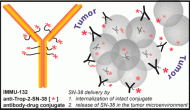 Immunomedics的SN-38抗體藥物偶聯(lián)物（ADC）Sacituzumab Govitecan獲得FDA快速通道認定