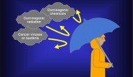 治療癌癥還是預(yù)防癌癥？