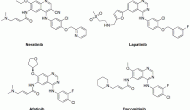 Puma生物制藥的neratinib治療HER2陽性乳腺癌療效優(yōu)于赫賽汀 Puma生物制藥的neratinib治療HER2陽性乳腺癌療效優(yōu)于赫賽汀