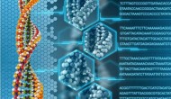如何處理基因測(cè)序結(jié)果的爭(zhēng)議