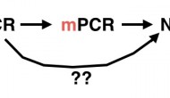 高通量測(cè)序技術(shù)能淘汰PCR嗎？