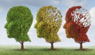 盲人騎瞎馬：阿爾茨海默臨床失敗率高達99.6%