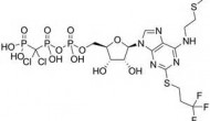 EMA專家組CHMP支持注射抗凝藥Cangrelor