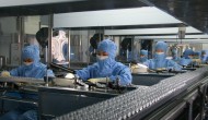免疫療法后制藥工業(yè)干什么？