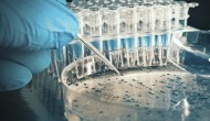 美國國家微生物組計劃