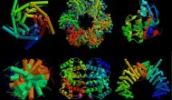 讓蛋白動起來：Relay Therapeutics獲5700萬美元A輪投資