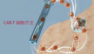 一朵忽先變：CAR-T首例實(shí)體瘤療效