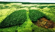 福泰囊腫性肺纖維化組合藥物顯示療效