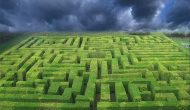 AD藥物研發(fā)投入和新藥多元化的重要性