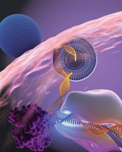 09635-cover-mrna