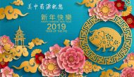 彎道超車、彎道拋錨：雙功能藥物的大年初一