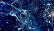 平臺藥物陷阱：Nuplazid精分三期臨床失敗