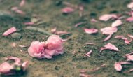 花開(kāi)易見(jiàn)落難尋：年初10大預(yù)測(cè)中了幾個(gè)？